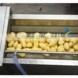 Industrial Brush Type Vegetable and Fruit Washing Machine thumbnail-4