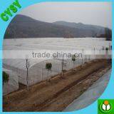 Transparent Reinforced Greenhouse Plastic Film Roll thumbnail-2