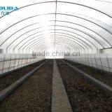 PE Film Greenhouse thumbnail-2