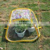 Greenhouse,mini Greenhouse,garden Greenhouse,flower House(SB10-10-I) thumbnail-1