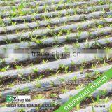 PLA Mulching Film thumbnail-1