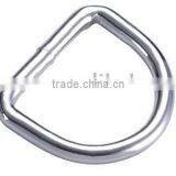 Stainless Steel D-Ring