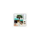 Artificial Palm Tree Fiberglass Material Outdoor/indoor Decoration Electric Palm Tree thumbnail-3