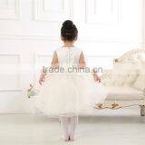 1-6 Years Old Baby Girl Dress / Baby Girl Wedding Dress/ Baby Flower Girl Dress Hot Photos thumbnail-4