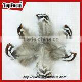 Hot Sale Dyed Wholesale Natural Cheap Artificial Pheasant Feathers Prices thumbnail-5