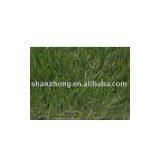 Artificial Grass