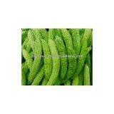 100% High Quality Balsam Pear Extract/balsam Pear Extract Powder/Balsam Pear Powder thumbnail-2