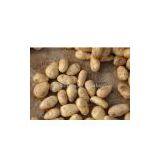 Sell Fresh Potato thumbnail-1