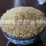 Artificial Nutrition Rice Making Machine Extruder Puff Porridge Production Line by China Jinan Price thumbnail-6