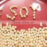 Non-GMO Soybeans thumbnail-1
