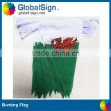 Hot Selling Polyester Triangle Flags