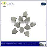 Tungsten Carbide Tip/tunsten Carbide Brazed Tips