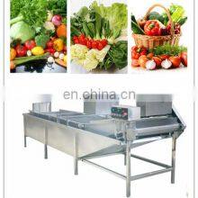 Automatic Fruit And Vegetable Processing Machine Equipment/Berry Washing Machine thumbnail-3