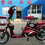 Hot Sales Popular Design 350W 48V 12AH 2 Wheel Electric Bicycle thumbnail-1