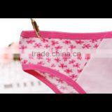 Popular Cheap Sexy Lingerie Ladies Panties thumbnail-5