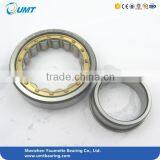 45X100X25 Cylindrical Roller Bearing NJ309