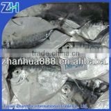 high quality frozen moon fish on sale