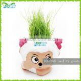 Beautiful sheep Grass Doll