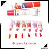 2016 Hot Sell Waterproof Lip Gloss in Makeup