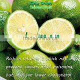 Best Quality Fresh Green Lemon thumbnail-3