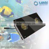 Lumini New Comingled Aquarium Lights for Saltwater Reef Tanks thumbnail-2