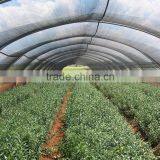 80% Horticulture Greenhouse Shade Netting thumbnail-6