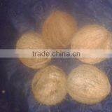 Coconut Rate Today thumbnail-1