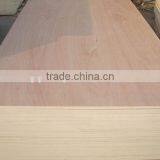 High Quality Dubai Market Commercial Plywood at Wholesale Price thumbnail-4
