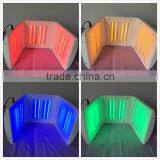 Wrinkle Removal Improve fine lines NL-PDT 500 2016 PDT Bule Light Anti-putfiness Photon Therapy Beauty Machines For Sale Multi-Function Multi-Function thumbnail-5