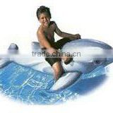 inflatable dolphin rider