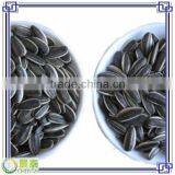 Supply The Best Quality Natural 3638 24/64 Raw Sunflower Seeds