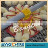 Automatic Broiler Feeding Line For Poultry House