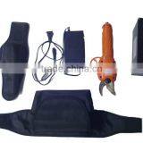 Pruning Shear thumbnail-1