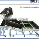 Apples Sorting Machine