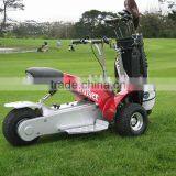 ELECTRIC GOLF CRUISER SX-E0906-3A thumbnail-1