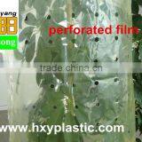 Green Color PE Agricultural Plastic Perforated Film With UV for Protective Tomato Tree thumbnail-5
