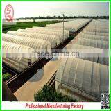 China Multi/single Span Plastic Film Greenhouse Agriculture for Sale thumbnail-6