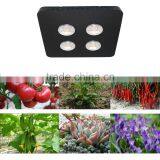 800W Unique Design Double Power Spider 4 Plus COB Led Grow Light Hydroponic Indoor Greenhouse Plant thumbnail-4