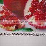 17oz Frontlit Flex Banner 1000*1000 20*20 thumbnail-4