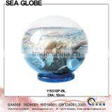 Glass Ball With Sea Life and Water Inside Free Glass Stand YSG12P-BL thumbnail-1