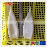 Frozen IQF Pacific Squid Tube u5 thumbnail-3