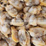 Frozen Boiled Baby Clam Meat thumbnail-3