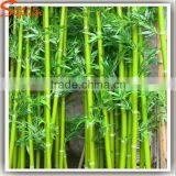 2017 Hot Sale Decoretion Artificial Bamboo Outdoor Indoor Decoration Artificial Fake Bamboo thumbnail-1