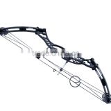 Archery hunting compound bow,AMBIDEXTROUS BOW