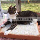 Toast Pillow With Soft Crystal and Beautiful Logo Printing Cat Cushion thumbnail-6