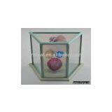 Glass Lantern thumbnail-1