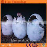 Growing Dinosaur Egg Toy thumbnail-3