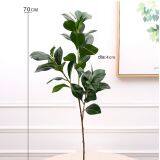 Wholesale Real Touch Flower Arrangement Olive Leaves Artificial Leaves thumbnail-5