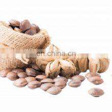 100% Organic Sacha Inchi Wholesale/Supply SACHA INCHI From VIETNAM With Good Price thumbnail-4