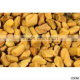 Methi Dana, Methi Seeds, Fenugreek Seeds thumbnail-3